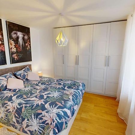 Modern Jungle - Colmar Apartman Kültér fotó