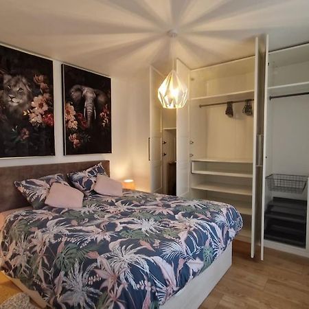 Modern Jungle - Colmar Apartman Kültér fotó