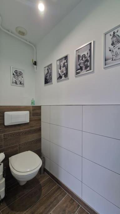 Modern Jungle - Colmar Apartman Kültér fotó